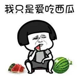 娱乐吃瓜歌曲叫什么,歌曲中的欢乐盛宴