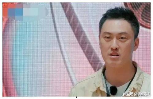 娱乐圈吃瓜爆料苏有朋,揭秘明星背后的真相