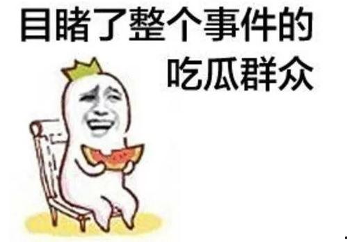 娱乐吃瓜网名大全男女生,男女明星个性网名大揭秘